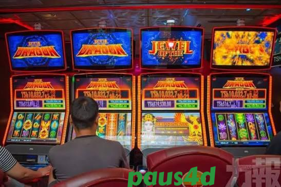 paus4d Result Table — Real-Time Outcomes in One Place